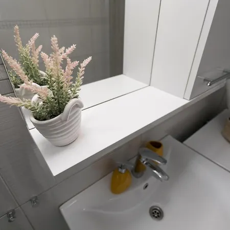 Bloom Daire *